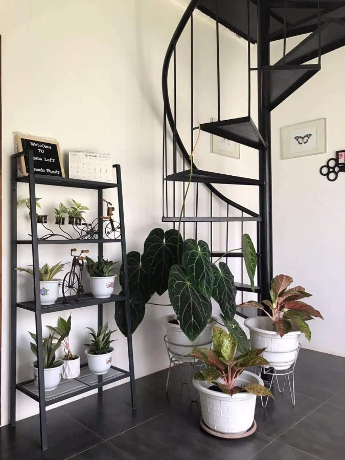 Laguna Loft Camiguin マンバヤオ エクステリア 写真